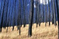 Mt McDonald 0012_RJ